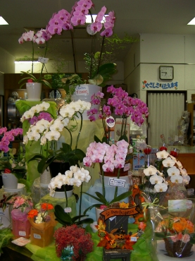 山形県天童市の花屋 ちぐさ花店にフラワーギフトはお任せください 当店は 安心と信頼の花キューピット加盟店です 花キューピットタウン