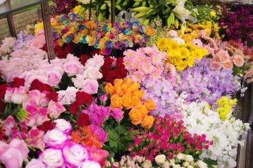 栃木県宇都宮市の花屋 花周にフラワーギフトはお任せください 当店は 安心と信頼の花キューピット加盟店です 花キューピットタウン