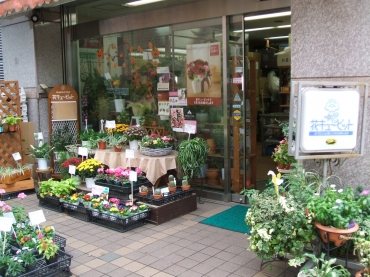 神奈川県横浜市都筑区の花屋 日吉生花店 都筑フローリストにフラワーギフトはお任せください 当店は 安心と信頼の花キューピット加盟店です 花 キューピットタウン