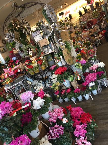 大分県玖珠郡玖珠町の花屋 花の店タケウチにフラワーギフトはお任せください 当店は 安心と信頼の花キューピット加盟店です 花キューピットタウン